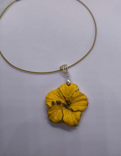 Колиета Цвете в няколко варианта